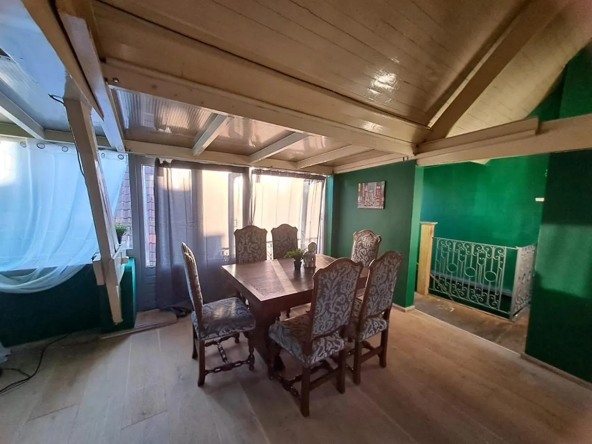 The Green Retromodern Duplex Apartment Antwerp