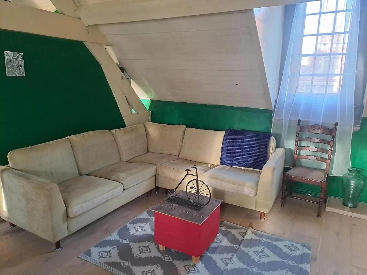 The Green Retromodern Duplex Apartment Antwerp