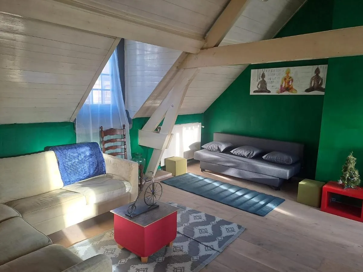 The Green Retromodern Duplex Apartment Antwerp Belgium